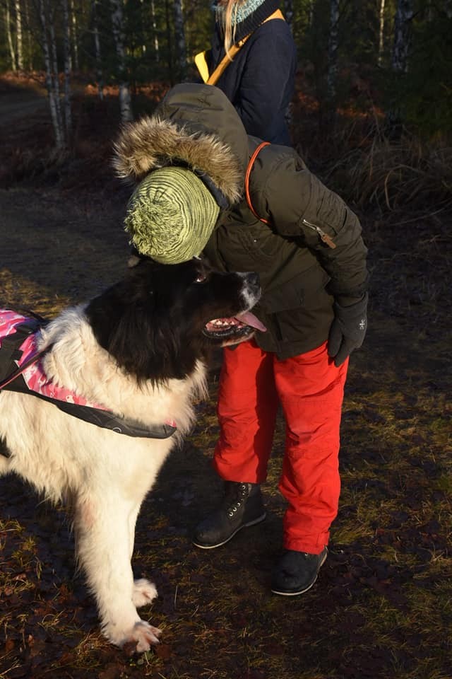 AS Järvamaa Haigla